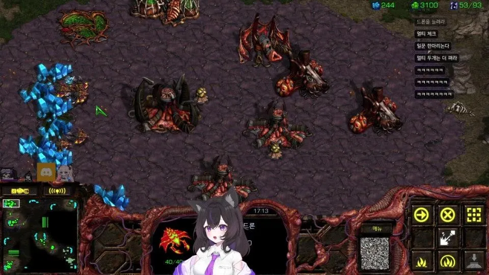 소쌍대전  (w.허니츄러스와 레나)