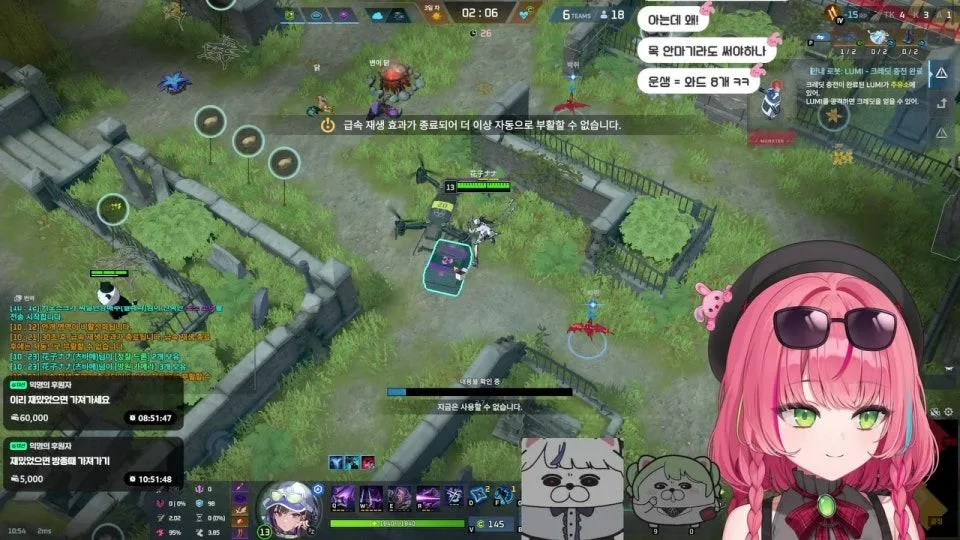 린 나나 리코... 섬을가... 랭크 나무 들기