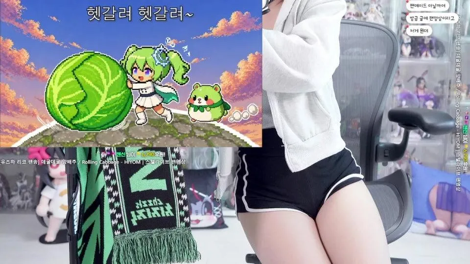 [어그로아님] 네 그렇게 됐습니다 |･ω･｀)