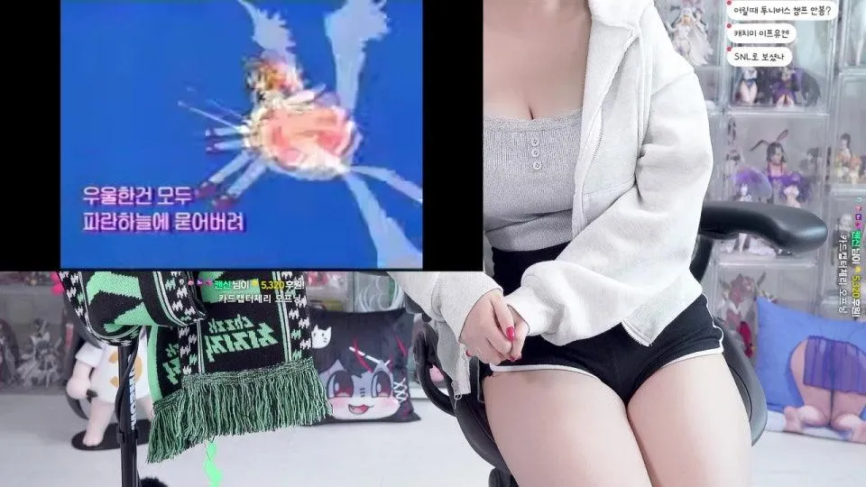 [어그로아님] 네 그렇게 됐습니다 |･ω･｀)