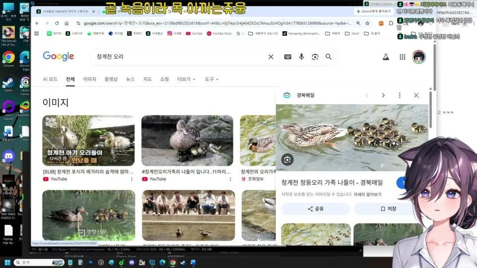 [서새봄] 오 하 요 ㅇㅅㅇ