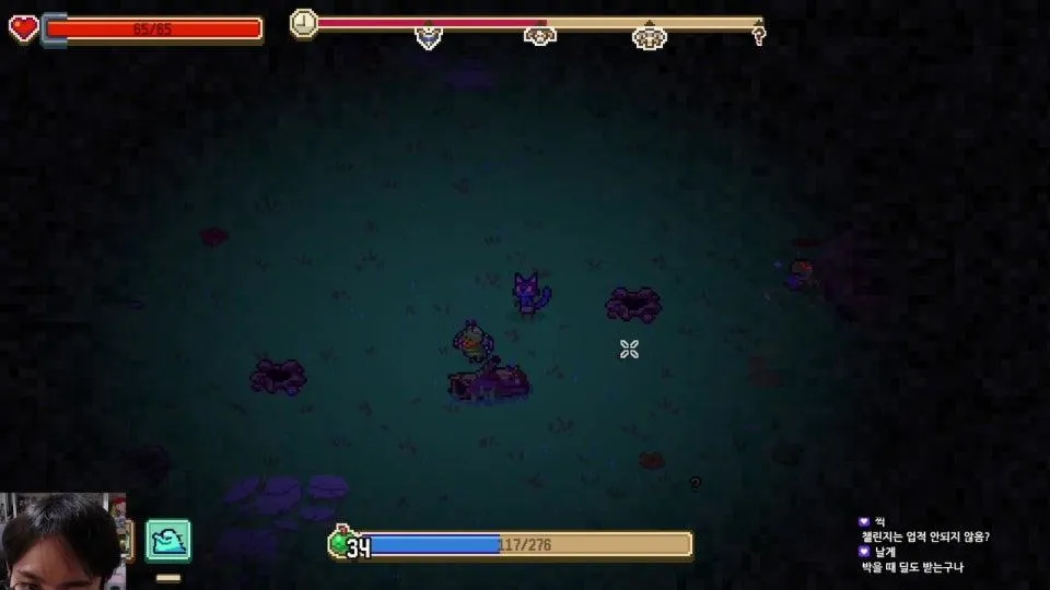 🦀🦀🦀🦀🦀🦀🦀🦀🦀🦀🦀🦀🦀🦀🦀🦀🦀🦀🦀🦀