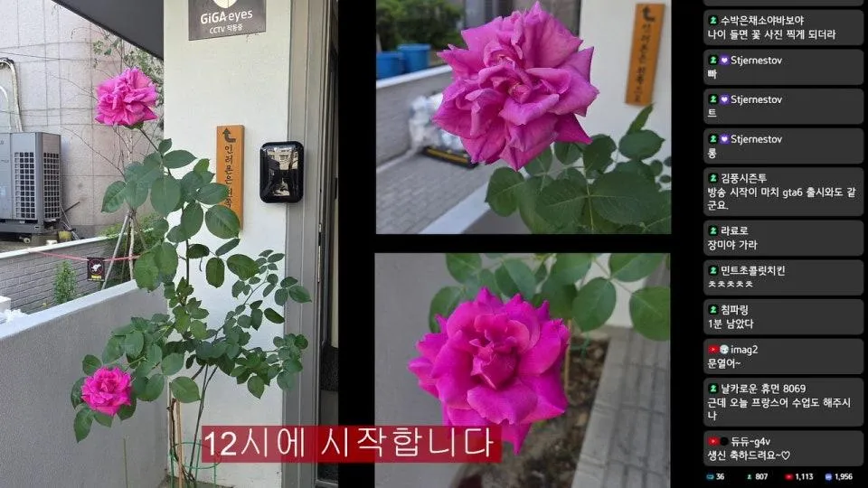 프랑스어 정일영 교수님 초대석