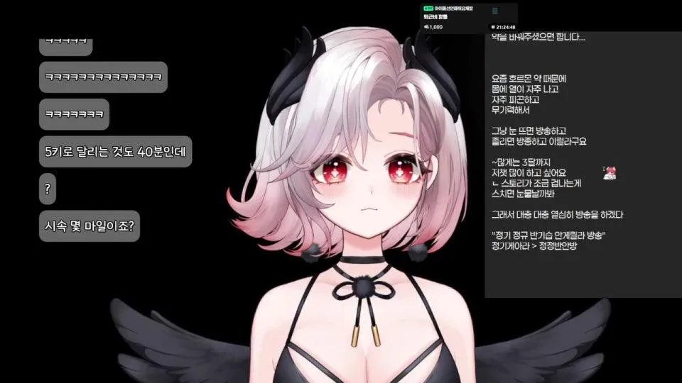 정규 기습 게릴라 아침 라디오🍓