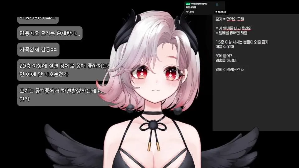 정규 기습 게릴라 아침 라디오🍓