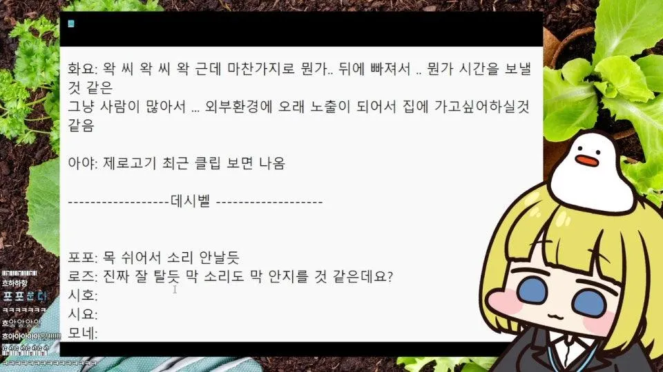 조신고기 노가리