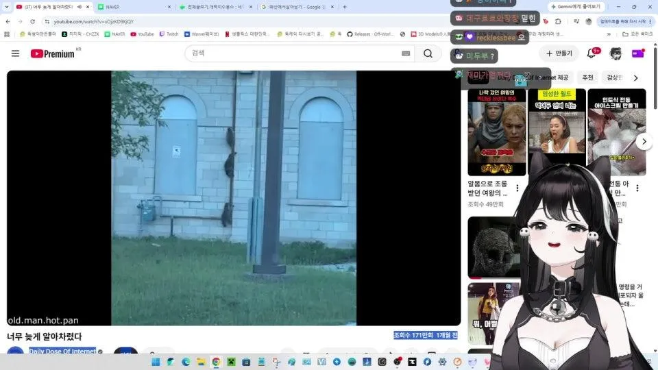 아메똥꼬의 모험 여름부터