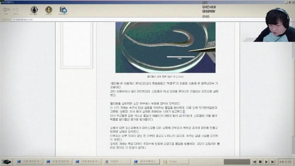 사이비 종교 추리하고 진실 파헤치기