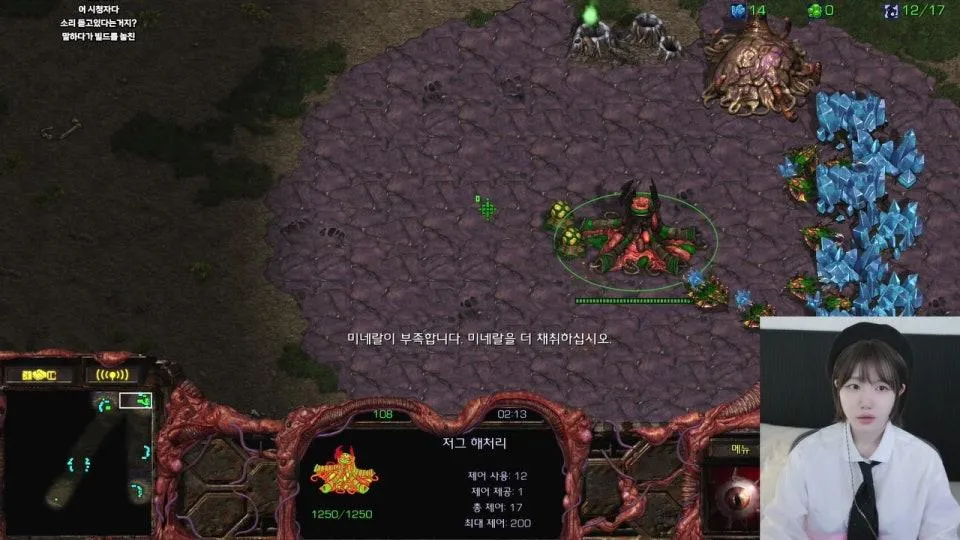 스타크래프트 대회 출전합니다. 저그의 희망
