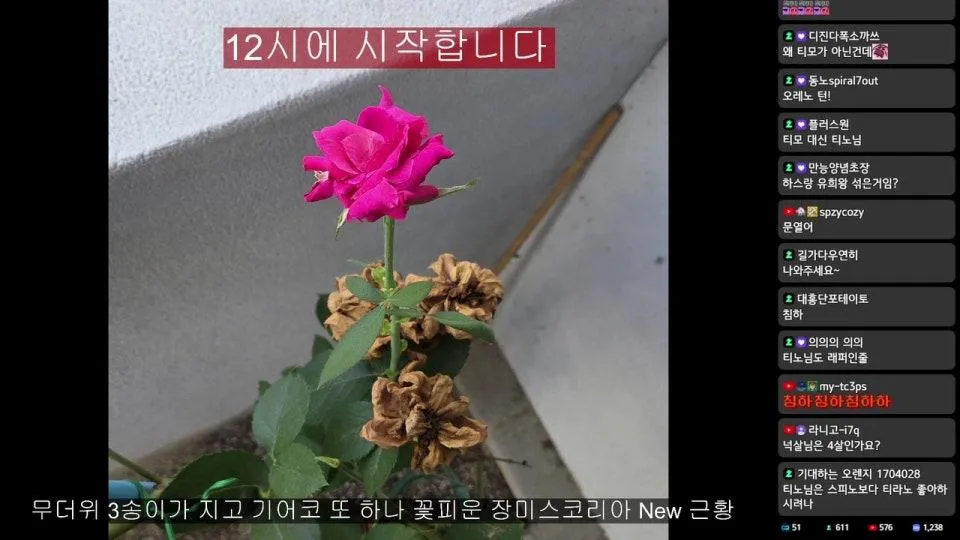 리프트바운드(신작 롤 TCG) 배워보기 (with 넉살, 티노 님)