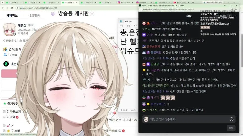 오늘은그냥막나가눈방송인이애여
