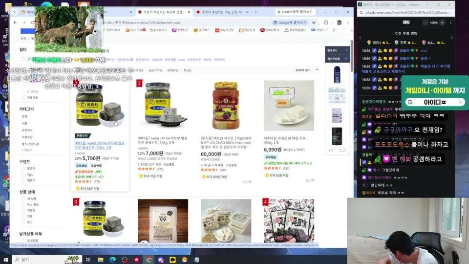 메소조폐공사