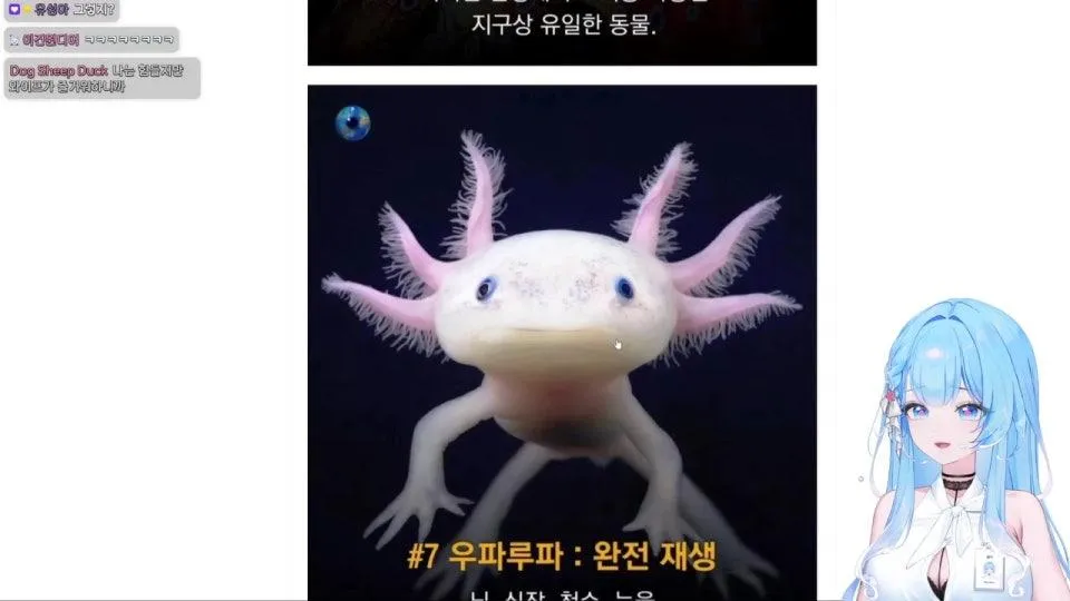 데바데 새싹내전의 날