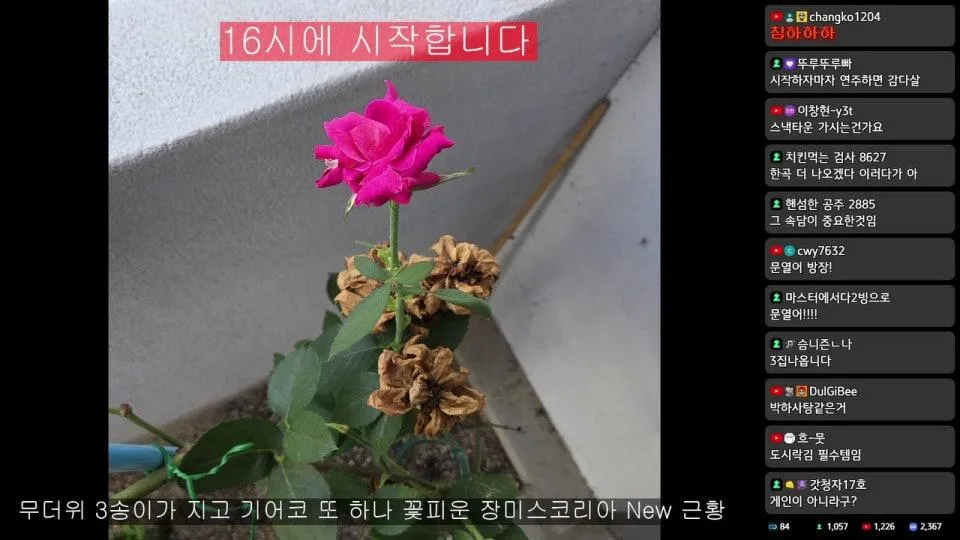 밴드 실리카겔 연습실 방문 초대석