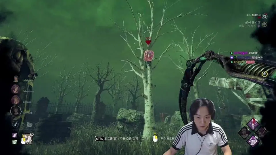 젤베