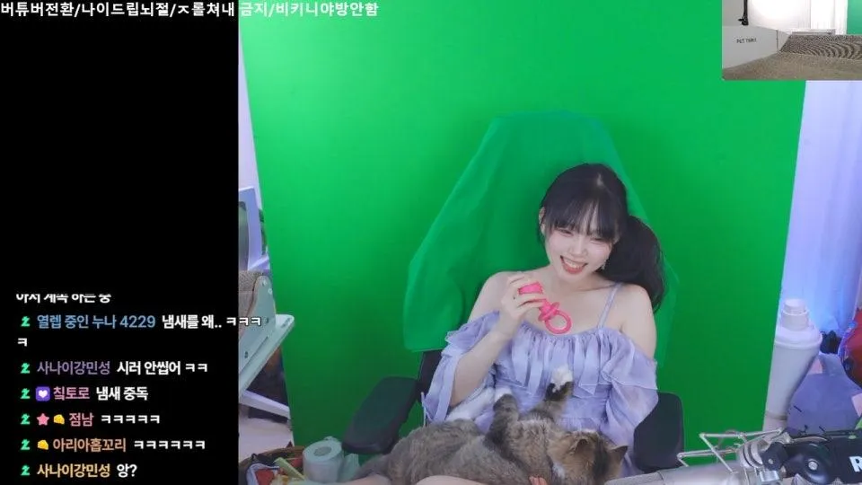 (베타)월드 오브 워크래프트: 포에버 - 외국인들과 통합서버/와우의 다른 세계관 if