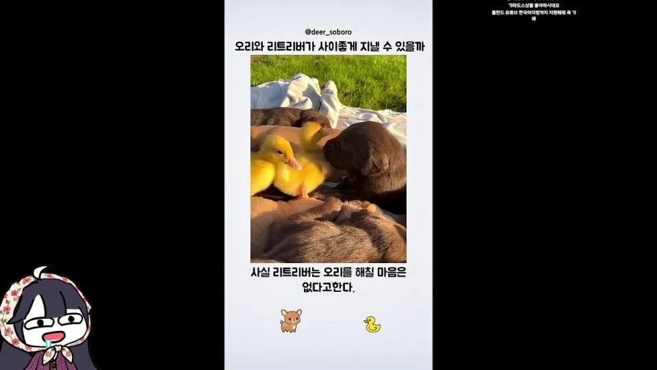 다들 머하느냠