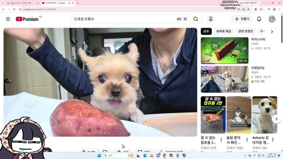 다들 머하느냠