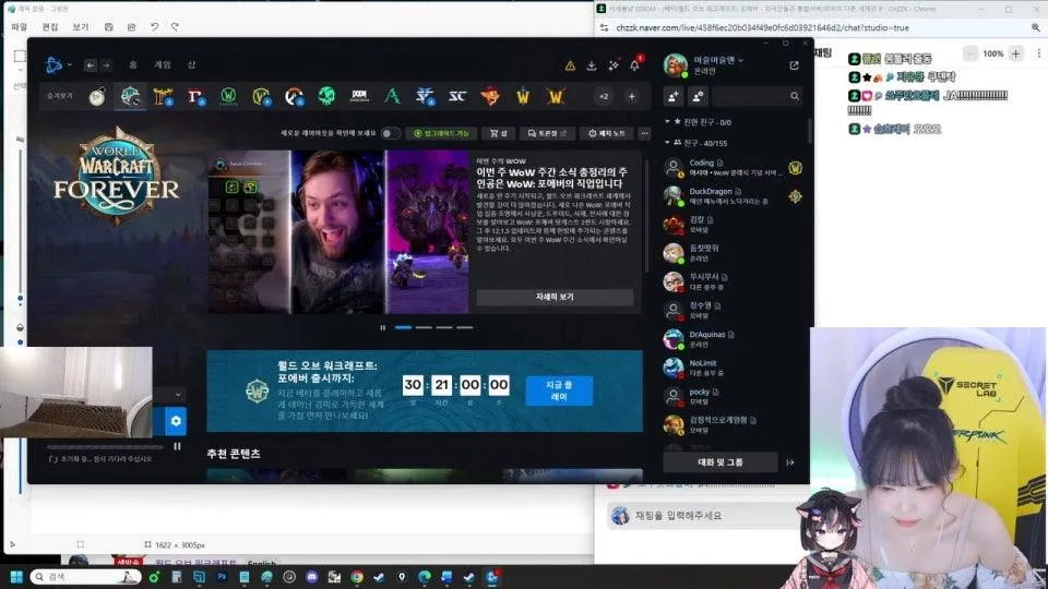 (베타)월드 오브 워크래프트: 포에버 - 외국인들과 통합서버/와우의 다른 세계관 if