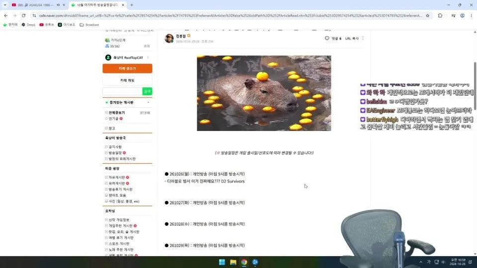 디아블로 뱀서 이거 진짜에요???