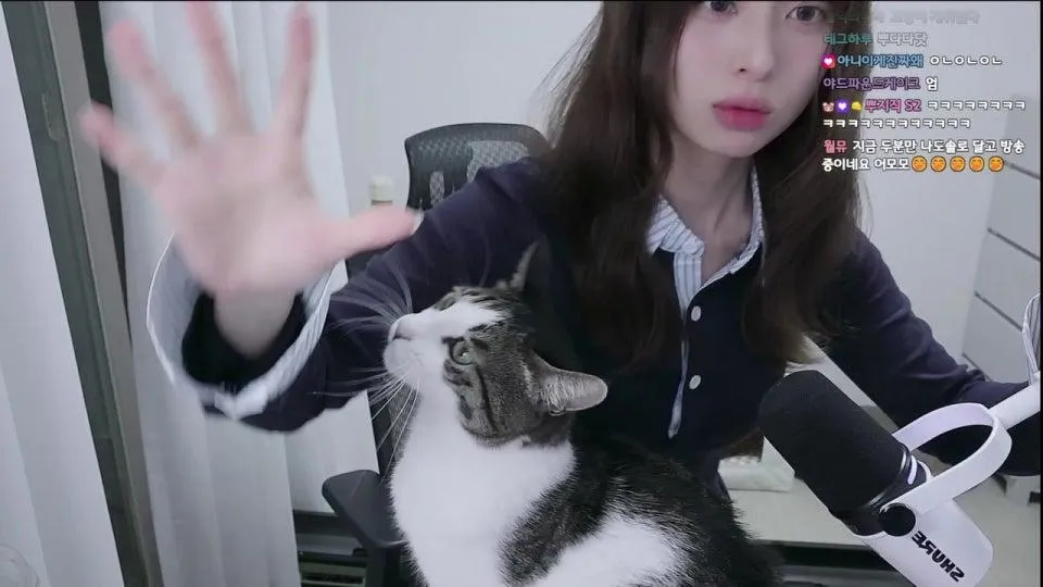 [나도솔로2] 저 오늘 여기서 솔로탈출하겠습니다 